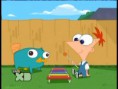 /album/galeria-de-fotos/perry-jpg/